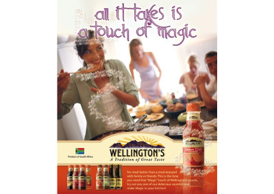 Wellingtons Poster 3